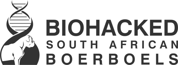 Biohacked South African Boerboels