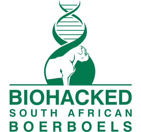 Biohacked South African Boerboels