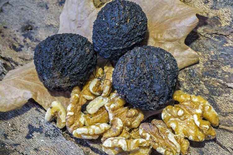Black walnut oil